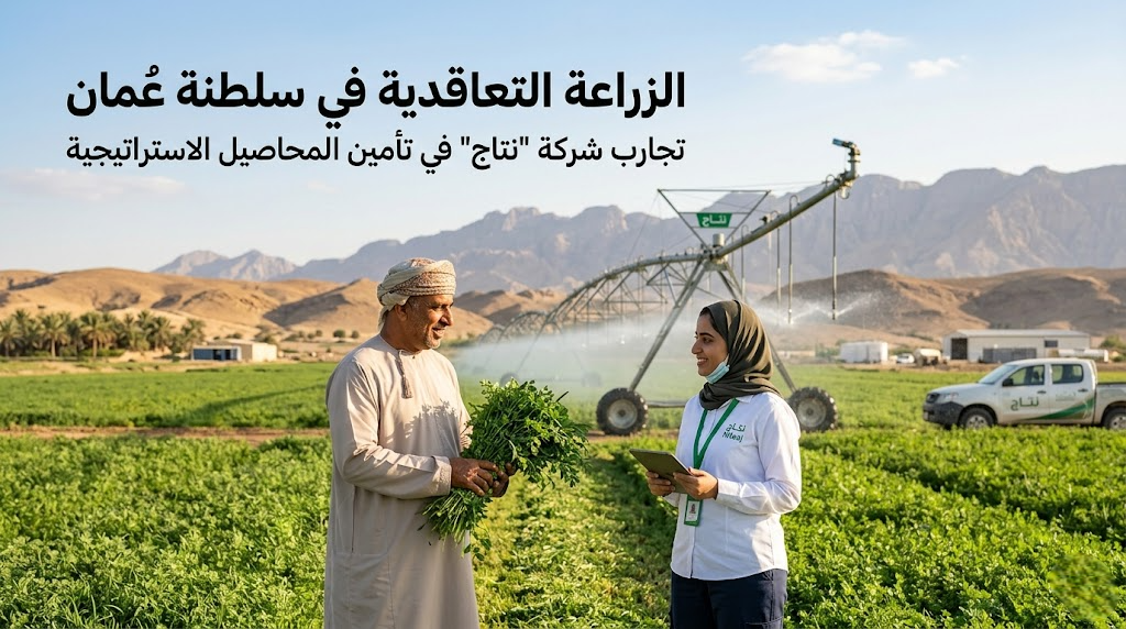 الزراعة التعاقدية في سلطنة عُمان: تجارب شركة “نِتاج” في تأمين المحاصيل الاستراتيجية