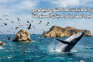 جزر الحلانيات: ملاذ التنوع البيولوجي للطيور المهاجرة والحيتان المستوطنة