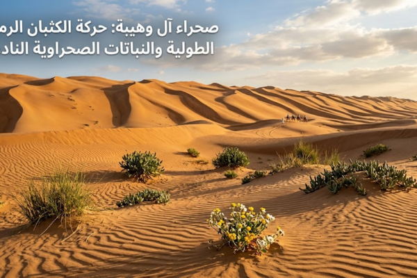 صحراء آل وهيبة: حركة الكثبان الرملية الطولية والنباتات الصحراوية النادرة