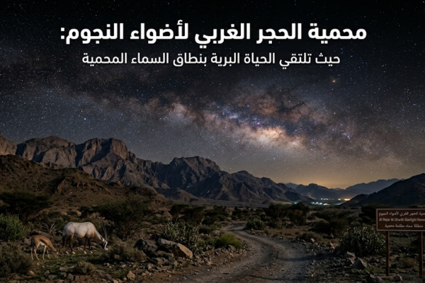 محمية الحجر الغربي لأضواء النجوم: حيث تلتقي الحياة البرية بنطاق السماء المحمية